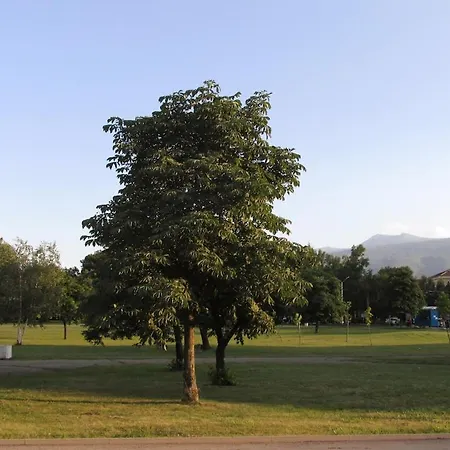 Διαμέρισμα Twinstay #6