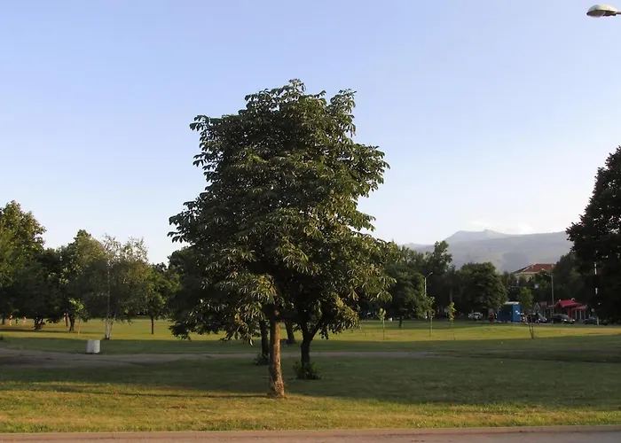 アパート Twinstay #6